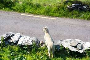 Atlantic Rest Stunning Vistas of the Skelligs