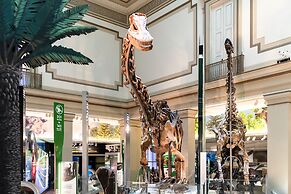 Kasa Alexandria Washington