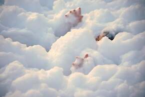 Sun Holiday Beach hôtel