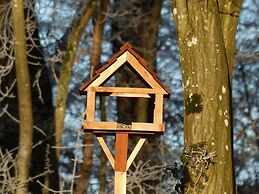 New House on the Edge of a Large Forest, Large Garden,very Quiet, Beau