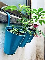 Bed&Breakfast Una Habitación Propia