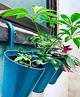 Bed&Breakfast Una Habitación Propia