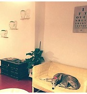 Bed&Breakfast Una Habitación Propia