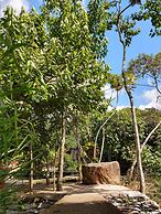 Rancho Texas Ubatuba