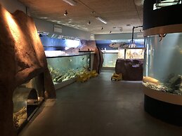 Strandflickornas Annex Gula Villan