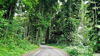 The Jewel Box 2 Bedroom Home by RedAwning