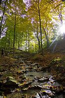 TownePlace Suites by Marriott Hamilton