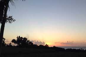 Longvacation Okinawa 301