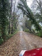 Zirkon Doga Butik Otel