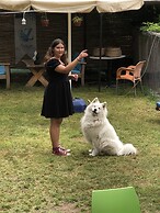 Zirkon Doga Butik Otel