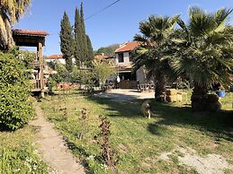 Zirkon Doga Butik Otel