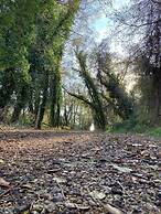 Zirkon Doga Butik Otel