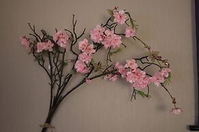 Tokyo Nippori japanese style villa