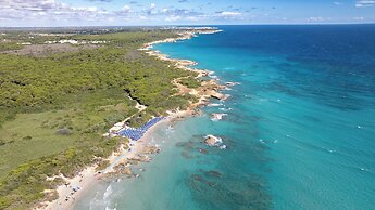 VOI Daniela Essentia