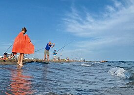 Camping Abri de Camargue