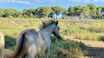 Camping Abri de Camargue