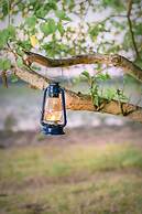 Leopard Safaris Yala