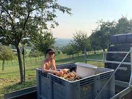 House in Sint Jansrade With Pool