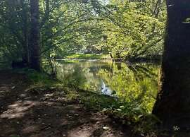 Tranquil Escape in Loubejac