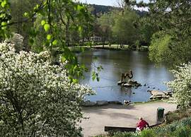 Apartment on the Lakeside in Hahnenklee
