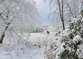 Apartment on the Lakeside in Hahnenklee