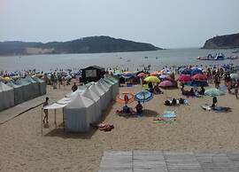 Apartment Sao Martinho Near Beach
