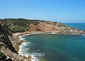 Apartment Sao Martinho Near Beach