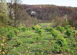 Delightful Holiday Home in Havidić Selo with Garden