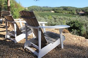 Villa in Provence With Pool and Vineyard Views