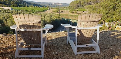 Villa in Provence With Pool and Vineyard Views