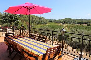 Villa in Provence With Pool and Vineyard Views