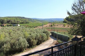 Villa in Provence With Pool and Vineyard Views