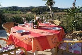 Villa in Provence With Pool and Vineyard Views