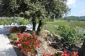 Villa in Provence With Pool and Vineyard Views
