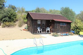 Villa in Provence With Pool and Vineyard Views