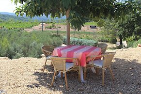 Villa in Provence With Pool and Vineyard Views