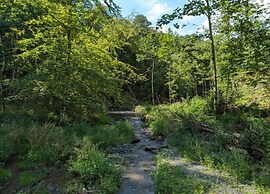 Nature Escape in Nafraiture