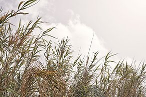 Amyth of Mykonos Agios Stefanos