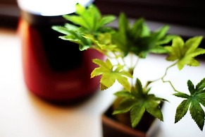 Lions Mansion Dogenzaka 207