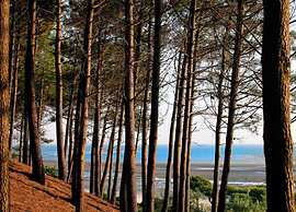 Poolside Escape by Arcachon