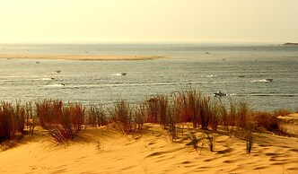 Poolside Escape by Arcachon