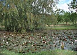 Belvilla by OYO Appartamento 4