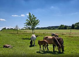 Ferienwohnung in Lauterbach im Schwarzwald