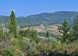 Apartment in Greve in Chianti With Garden