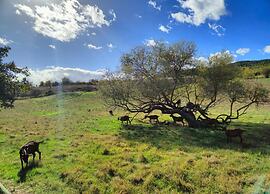 Apartment in Greve in Chianti With Garden