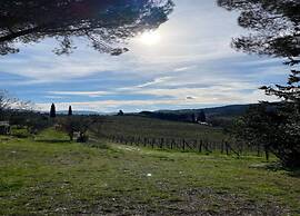 Apartment in Greve in Chianti With Garden