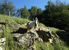 Apartment in Greve in Chianti With Garden