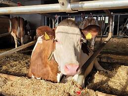 Holiday Flat With National Park