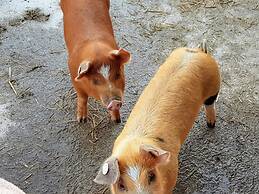 Holiday Flat With National Park