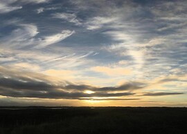 Breskens Haven: Relax, Explore & Dine